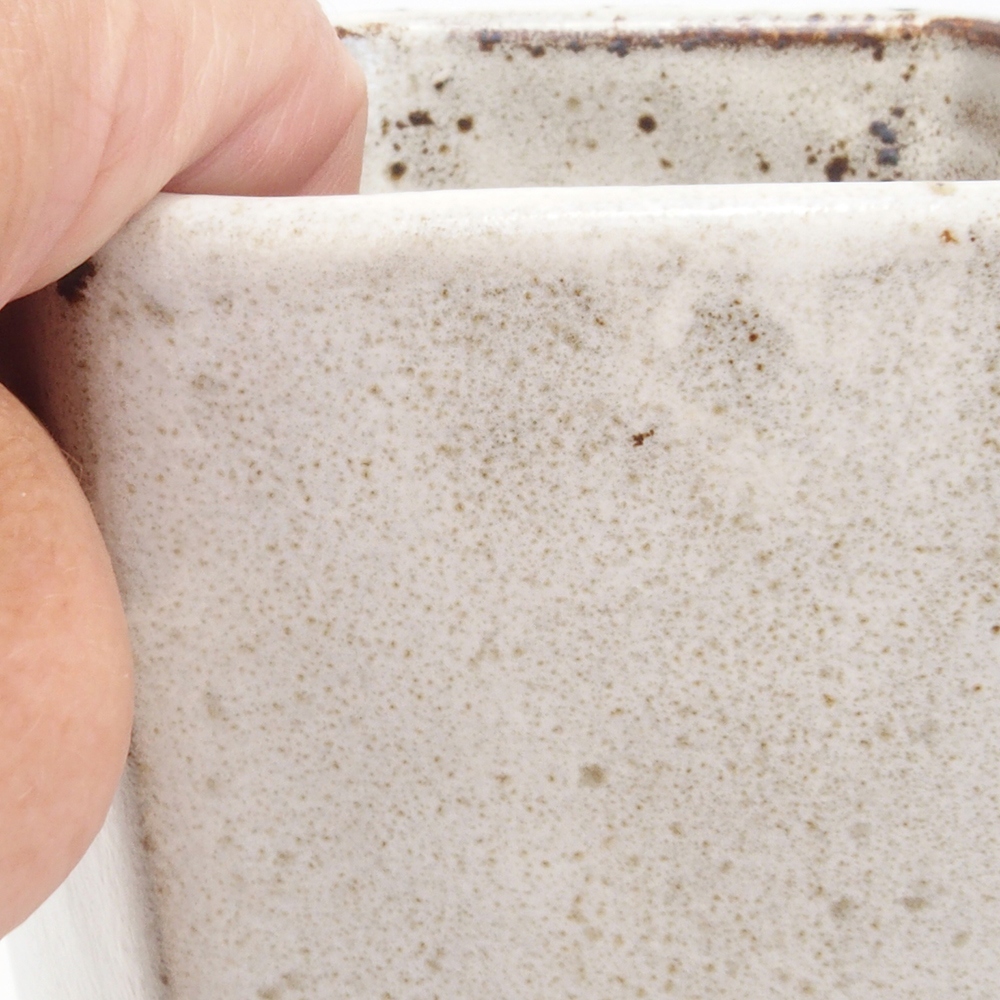 Ciotola per bonsai in ceramica 12,5 x 11,5 x 16,5 cm, colore bianco