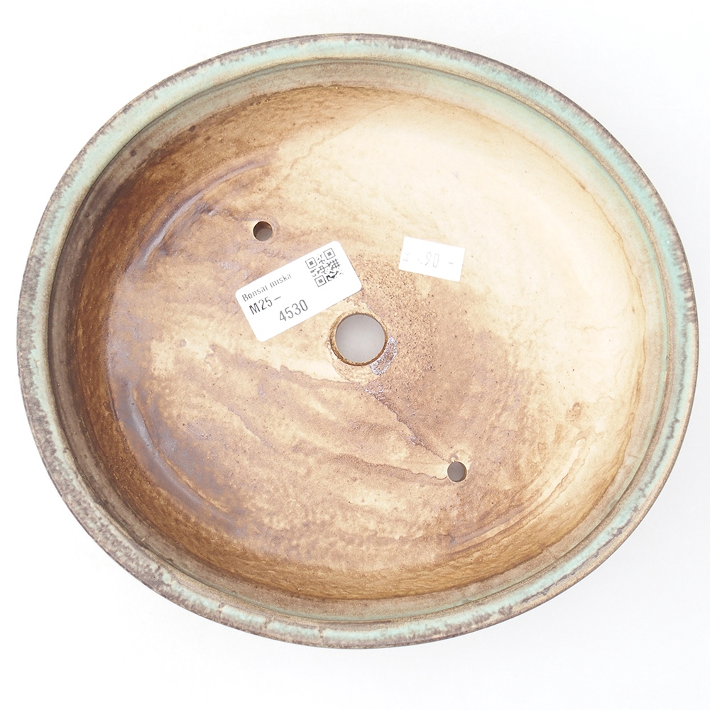 Ciotola bonsai in ceramica 21 x 19 x 5 cm, verde