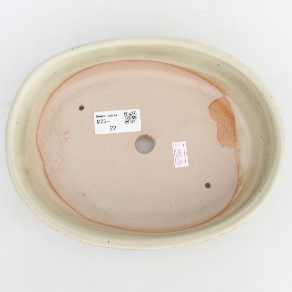 Ciotola per bonsai in ceramica 21,5 x 17 x 5 cm, verde