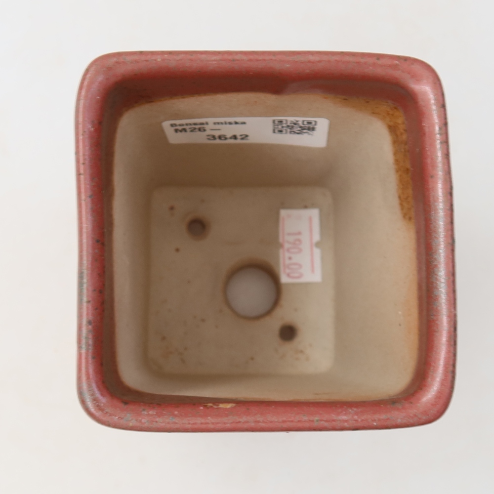 Vaso da bonsai in ceramica 7,5 x 7,5 x 10,5 cm, colore rosa