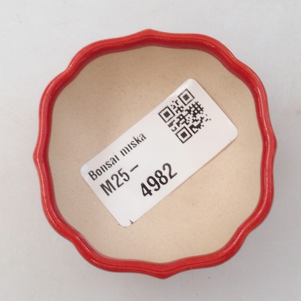 Mini bonsai 6 x 5,5 x 2,5 cm, colore rosso