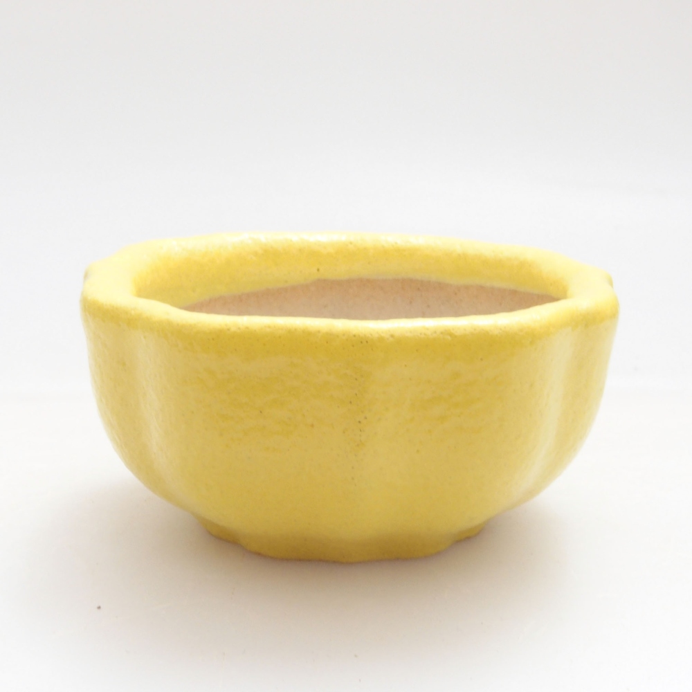 Ciotola bonsai in ceramica 5,5 x 5,5 x 3 cm, giallo