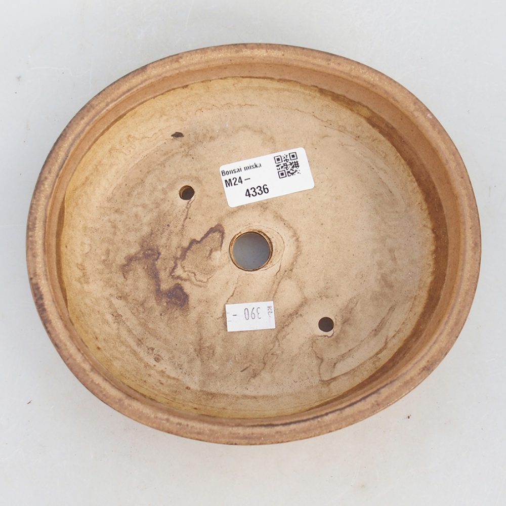 Ciotola bonsai in ceramica 18,5 x 16,5 x 4 cm, rosa