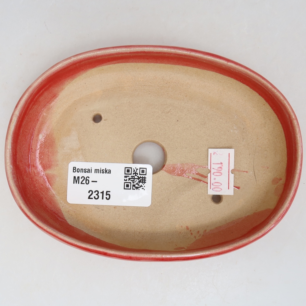 Vaso da bonsai in ceramica 13 x 9,5 x 2,5 cm, colore rosso