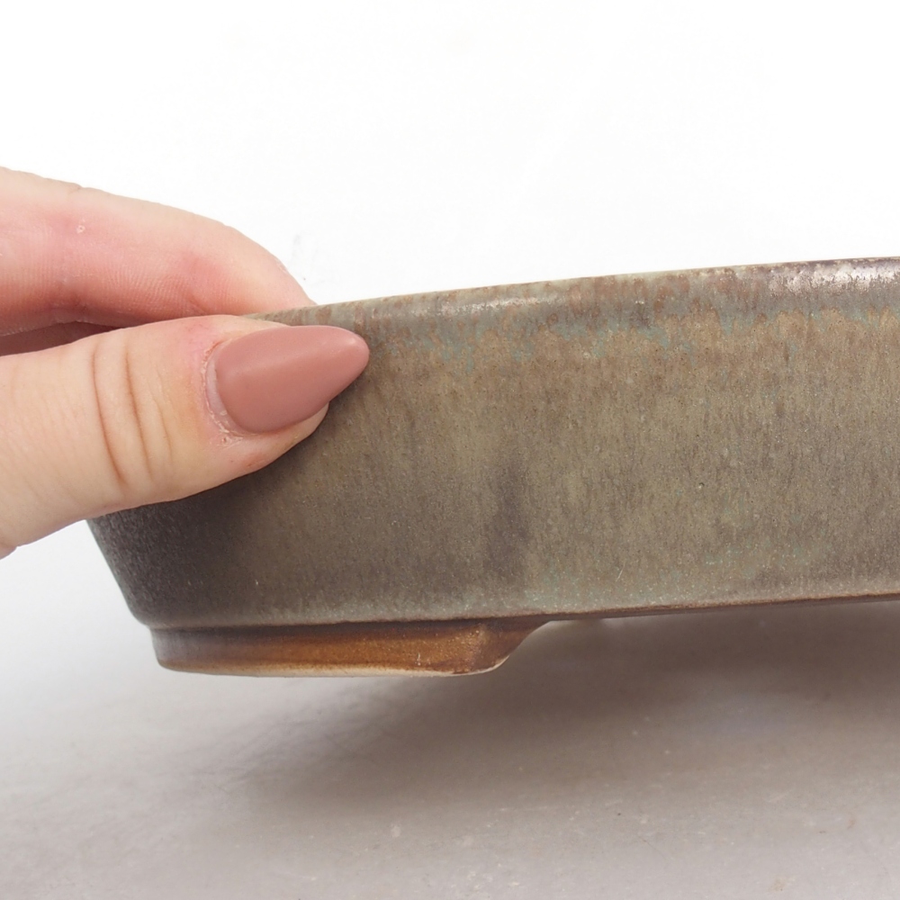 Ciotola bonsai in ceramica 22,5 x 20 x 4,5 cm, verde