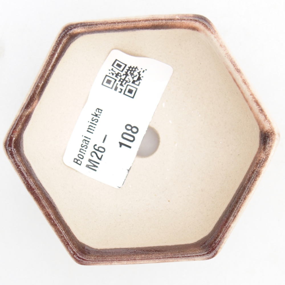 Mini bonsai 7 x 6 x 3 cm, colore rosso