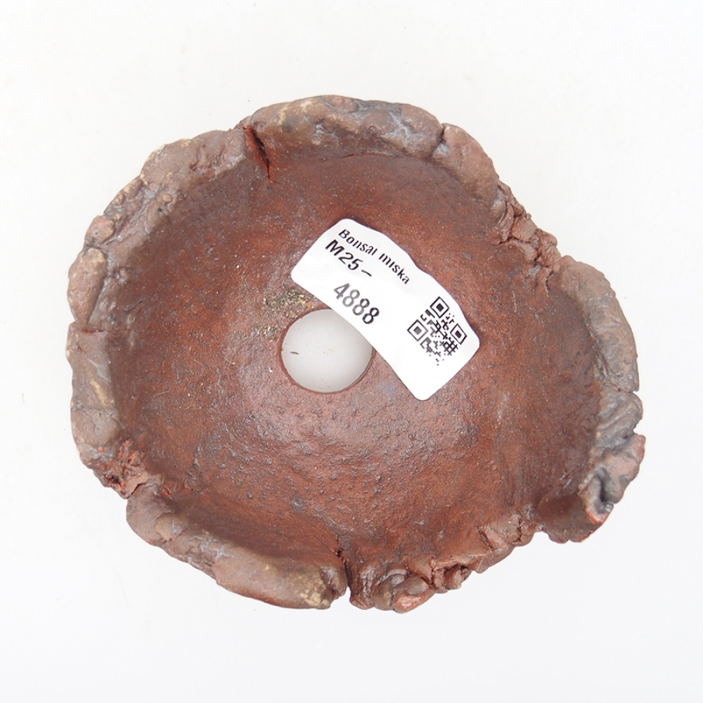 Conchiglia in ceramica 10 x 9 x 7 cm , colore marrone