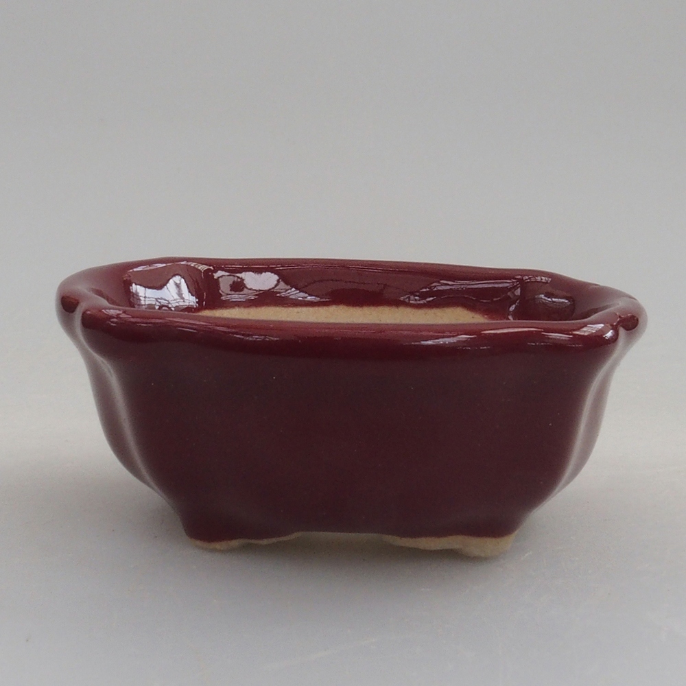Mini bonsai 6 x 6 x 2,5 cm, bordeaux