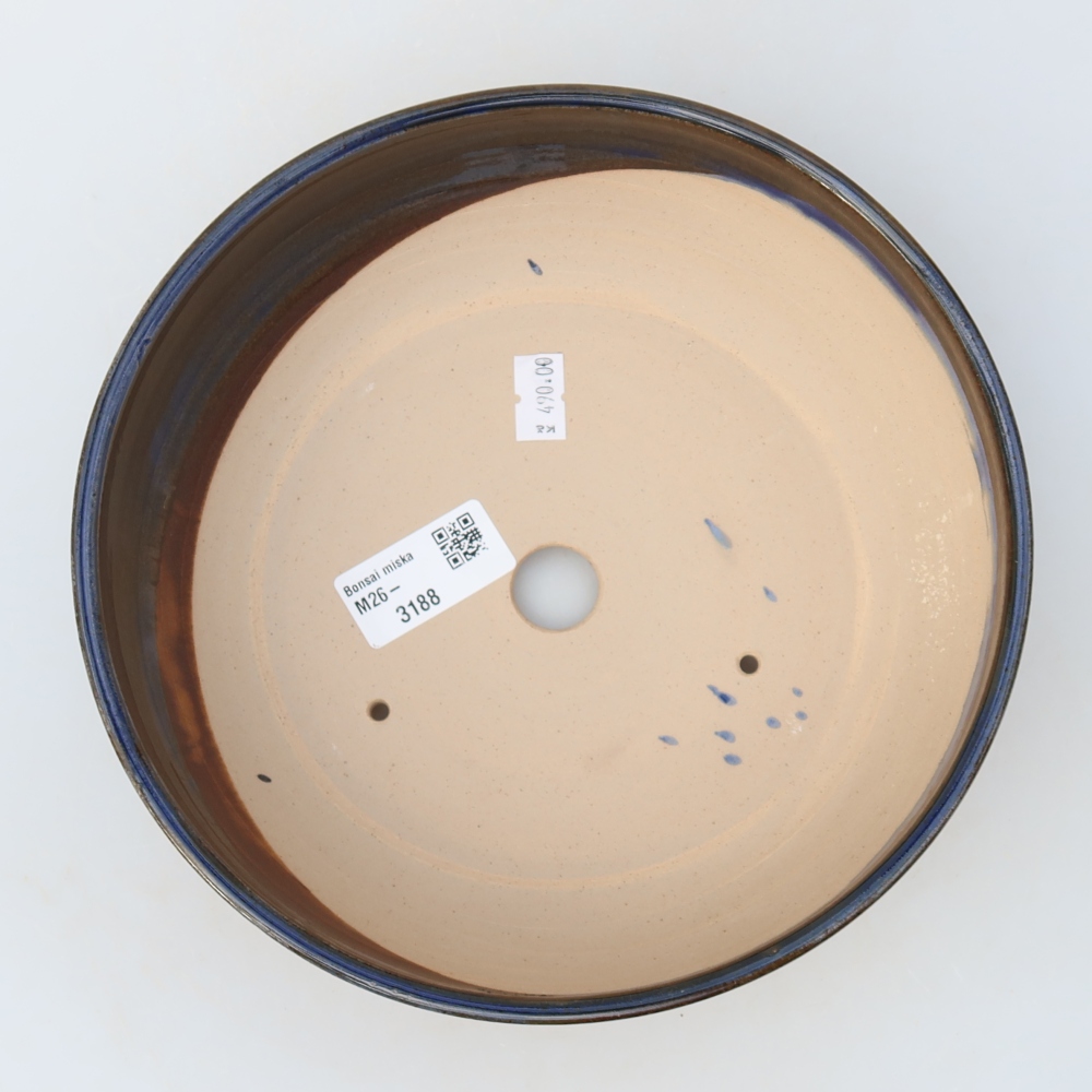 Ciotola per bonsai in ceramica 20 x 20 x 6 cm, marrone