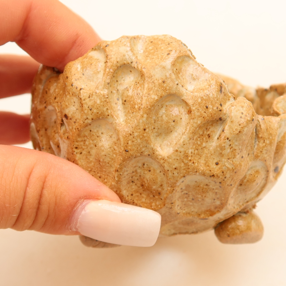 Conchiglia in ceramica 8,5 x 8,5 x 6 cm , colore beige