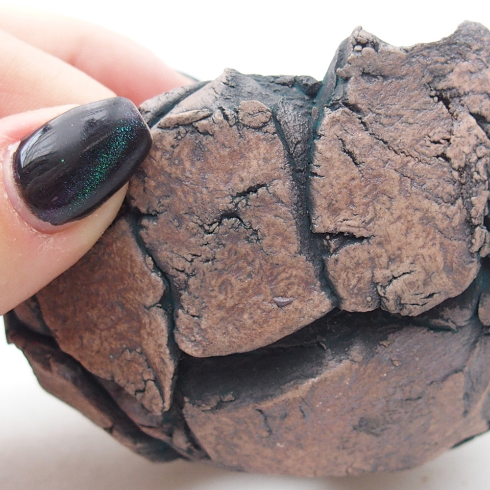 Conchiglia in ceramica 9 x 8,5 x 6 cm , colore verde