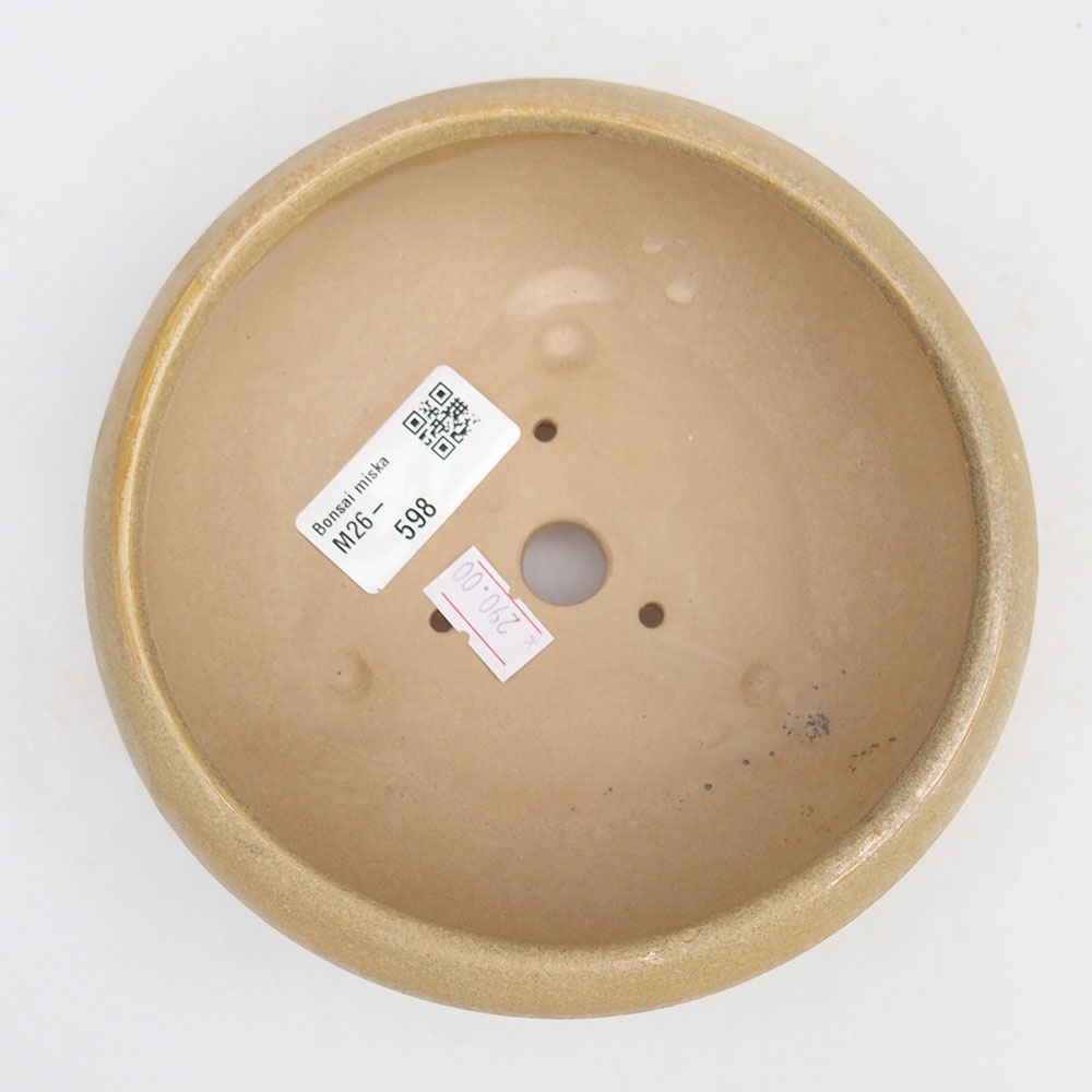 Ciotola bonsai in ceramica 14 x 14 x 6,5 cm, colore beige