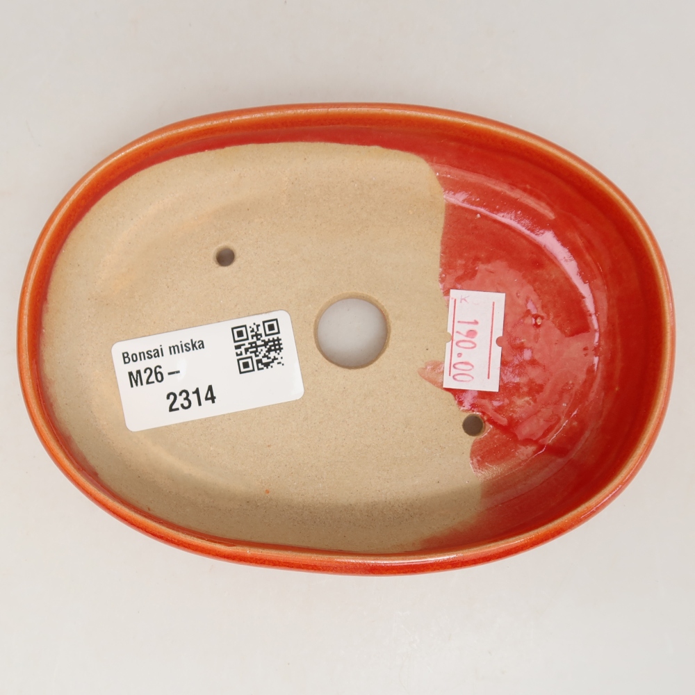 Vaso da bonsai in ceramica 13 x 9,5 x 2,5 cm, colore arancione