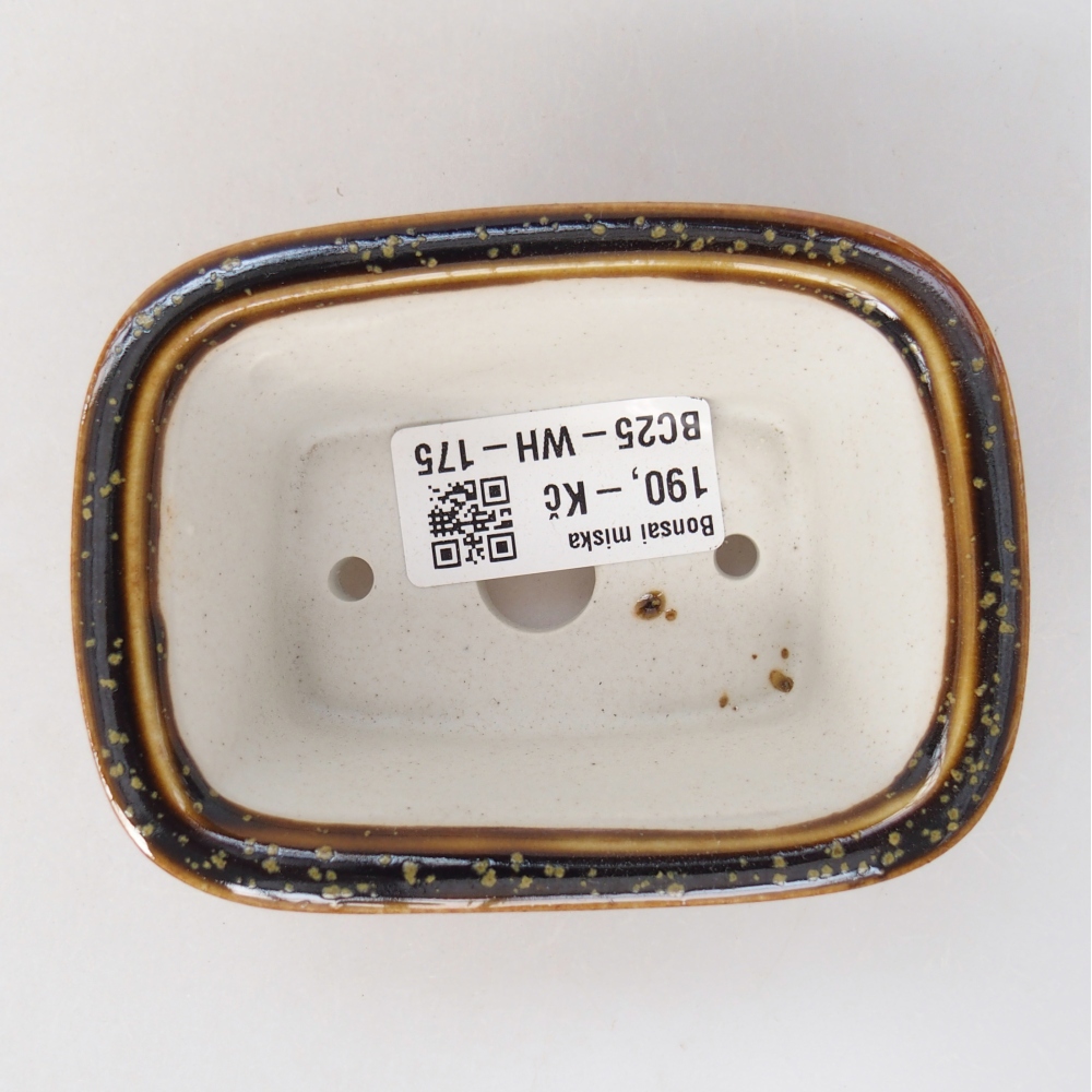 Mini bonsai 10 x 7,5 x 4 cm, giallo