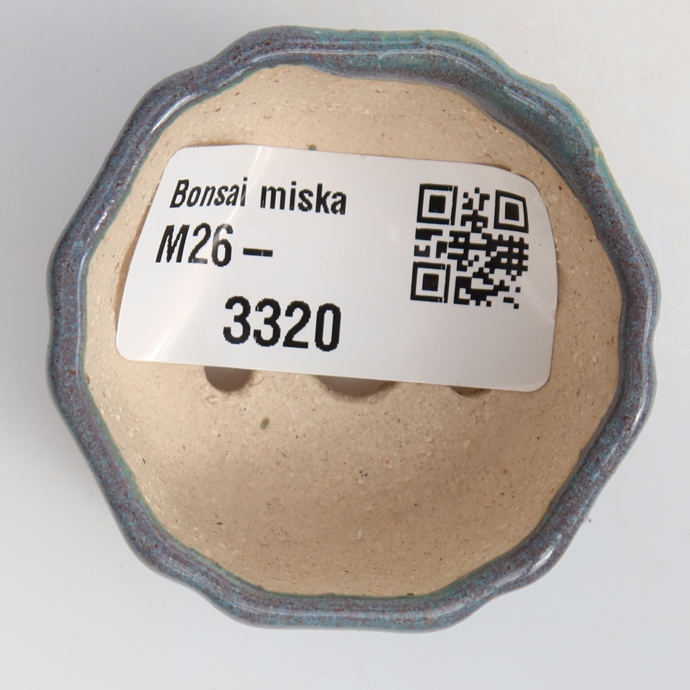 Vaso da bonsai in ceramica 5 x 5 x 2,5 cm, colore grigio