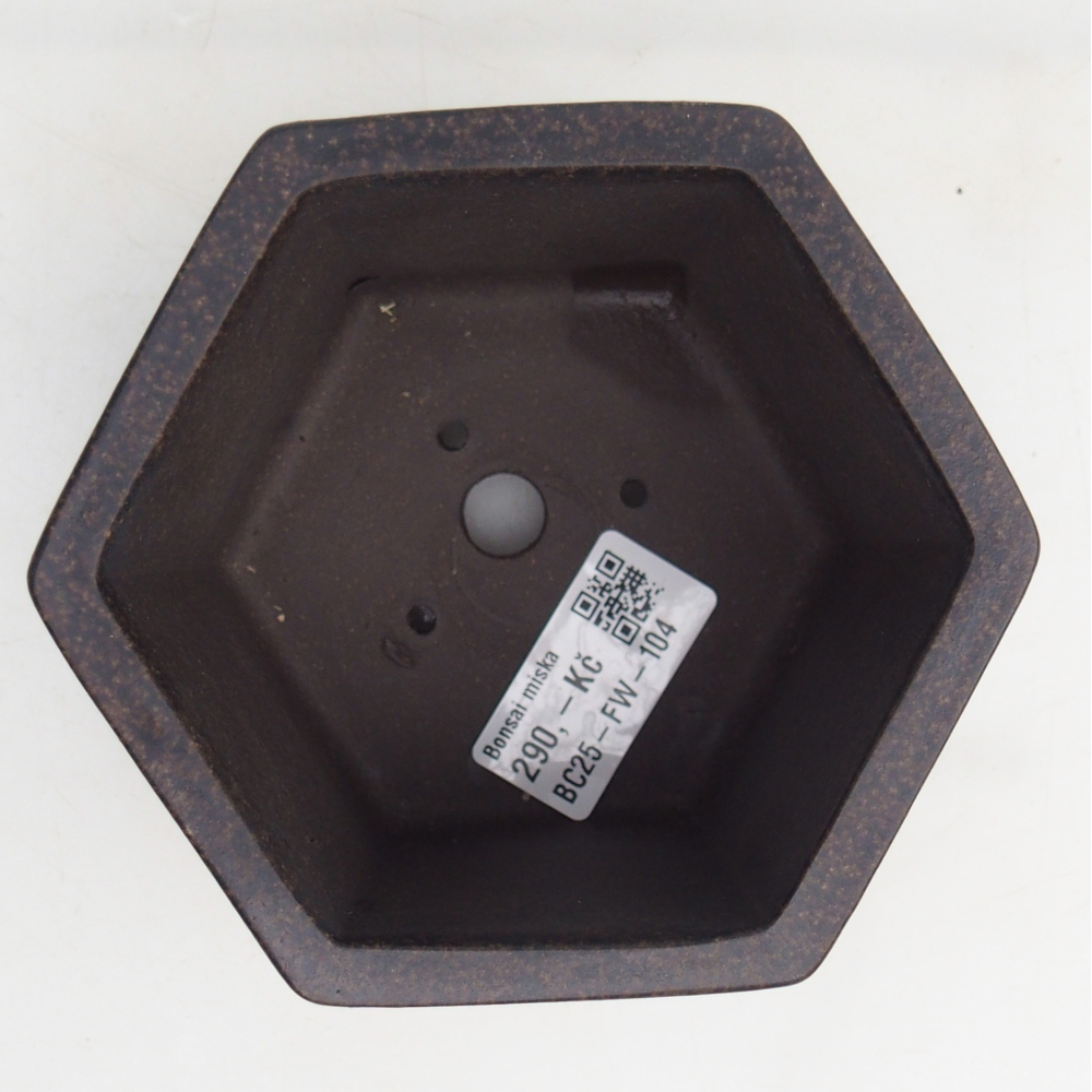 Ciotola per bonsai in ceramica 11 x 10 x 8,5 cm, marrone ocra