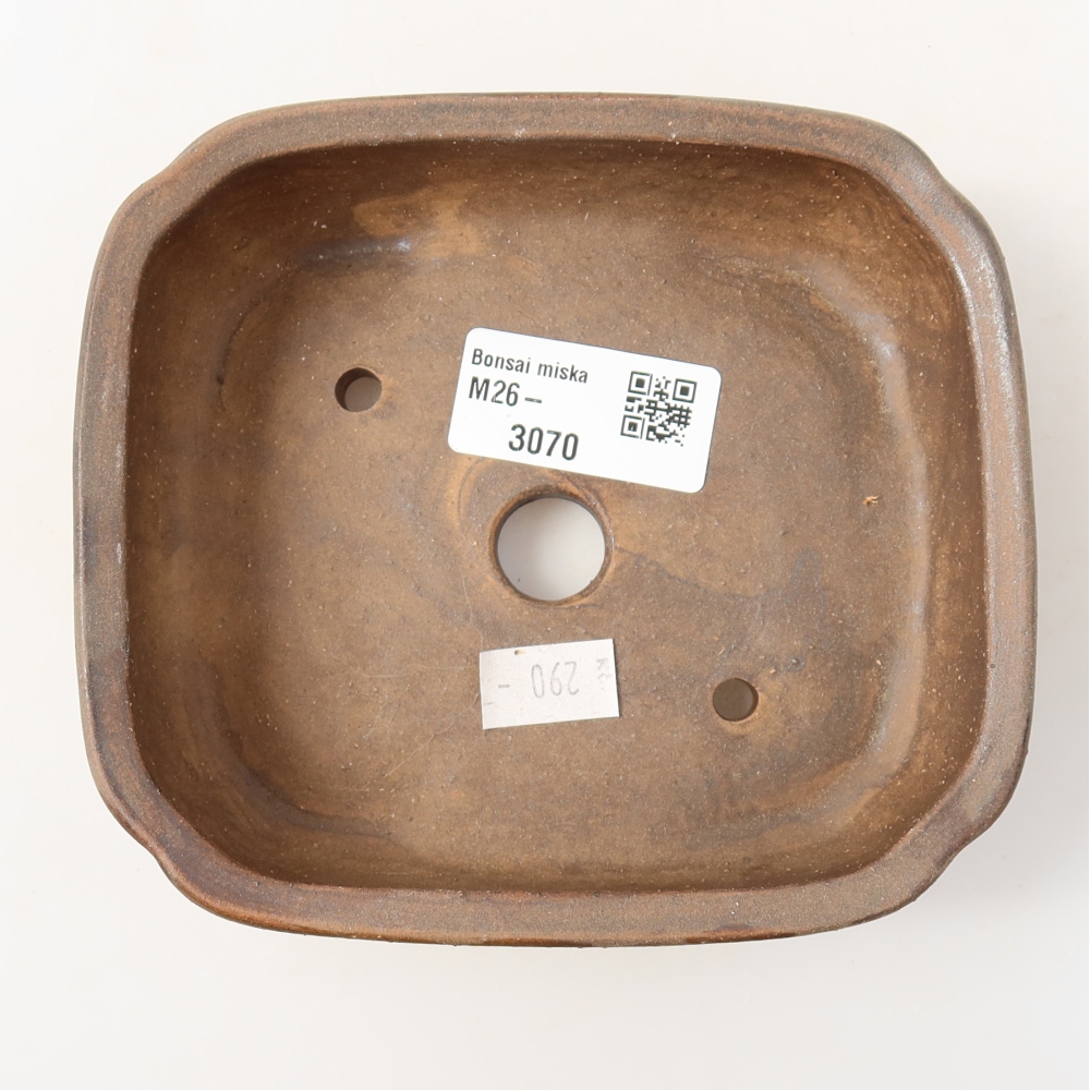 Ciotola per bonsai in ceramica 13,5 x 12 x 4 cm, marrone