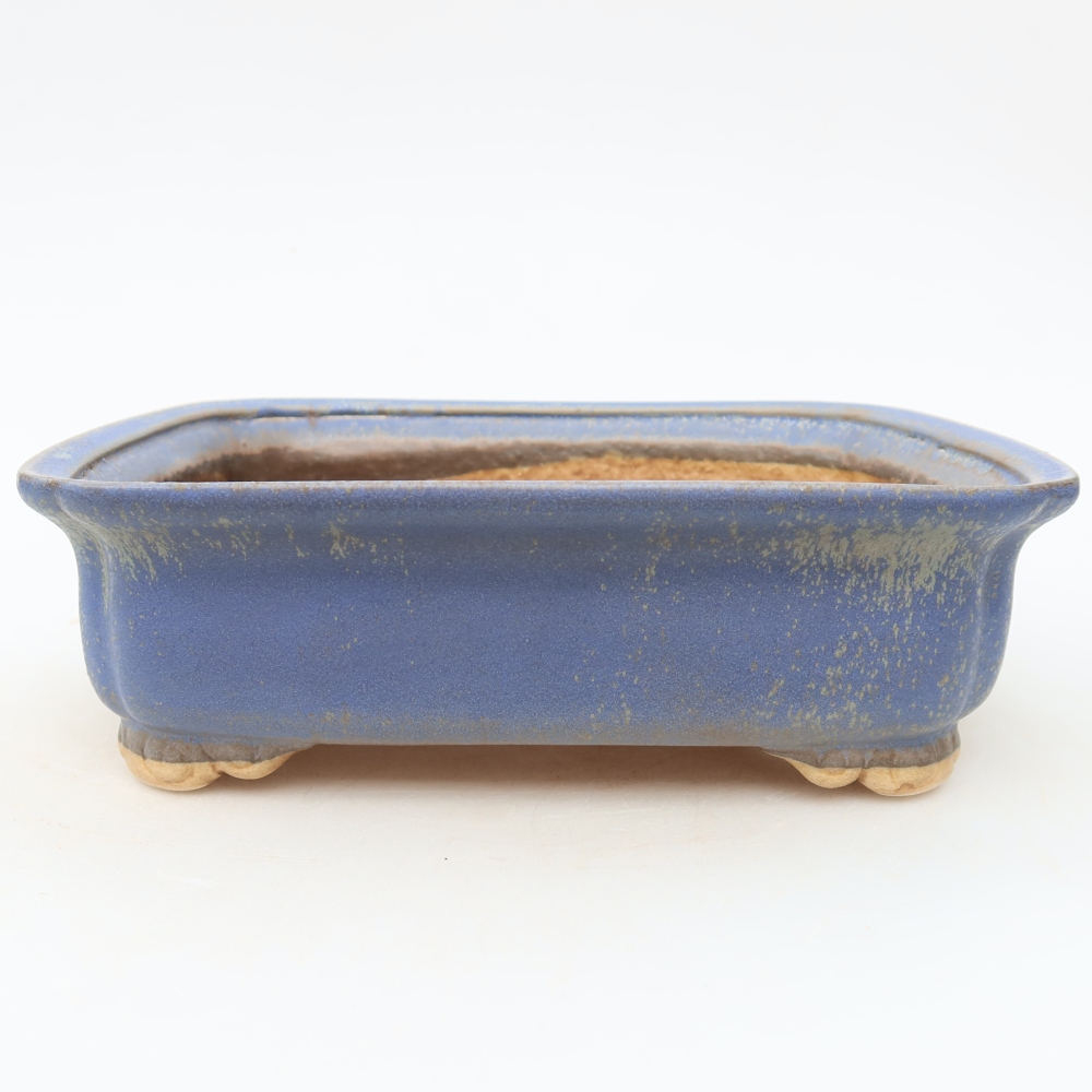 Vaso in ceramica per bonsai 20 x 17,5 x 6 cm, colore blu