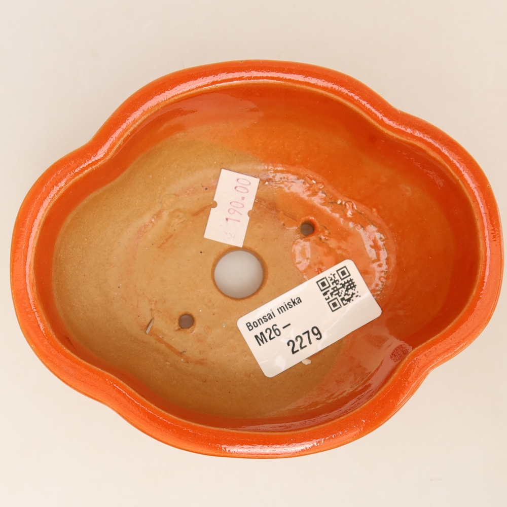 Vaso da bonsai in ceramica 12,5 x 10,5 x 4,5 cm, colore arancione