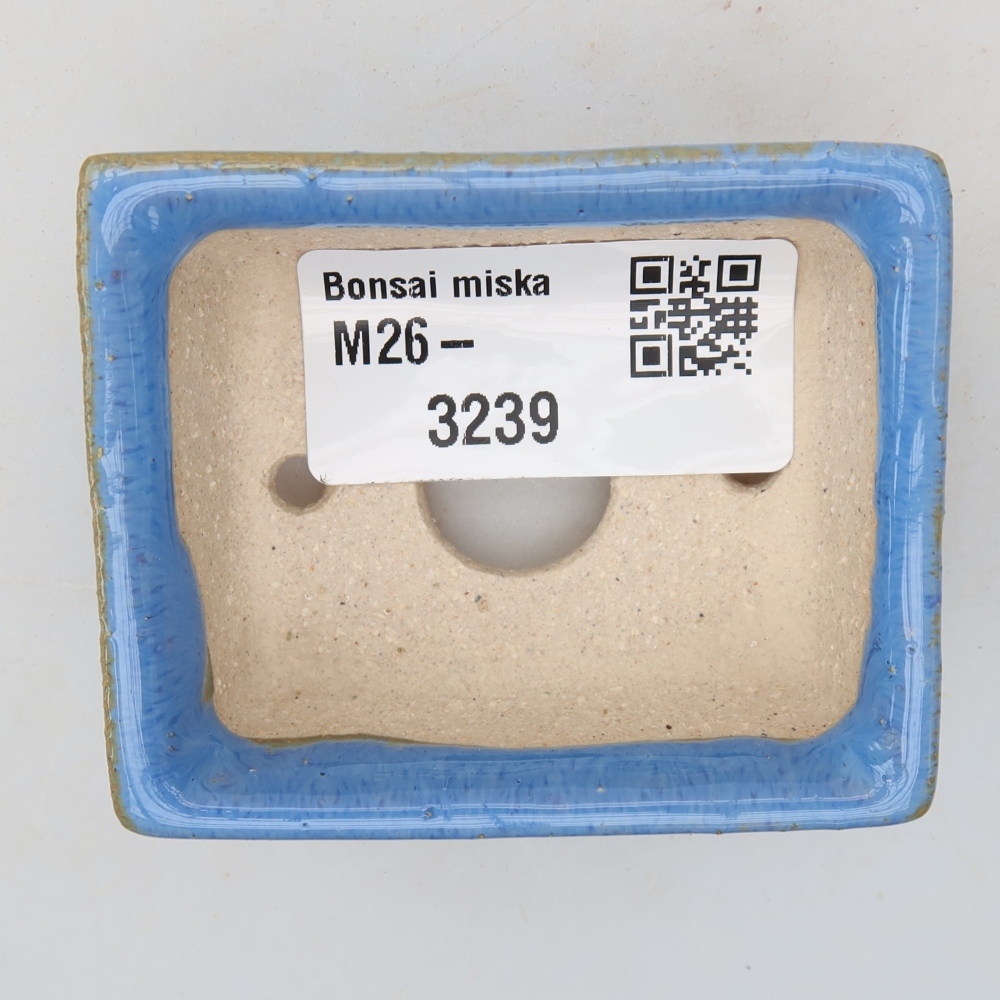 Vaso da bonsai in ceramica 6,5 x 6,5 x 2,5 cm, colore blu