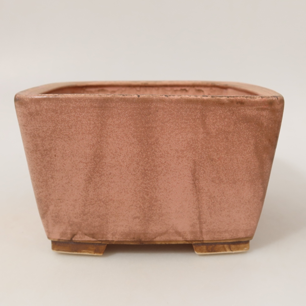 Vaso da bonsai in ceramica 16 x 16 x 10 cm, colore rosa