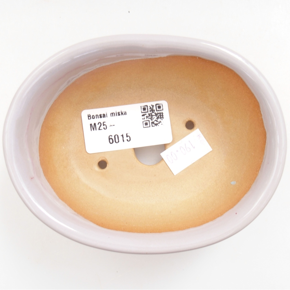 Ciotola bonsai in ceramica 22 x 17 x 5 cm, verde