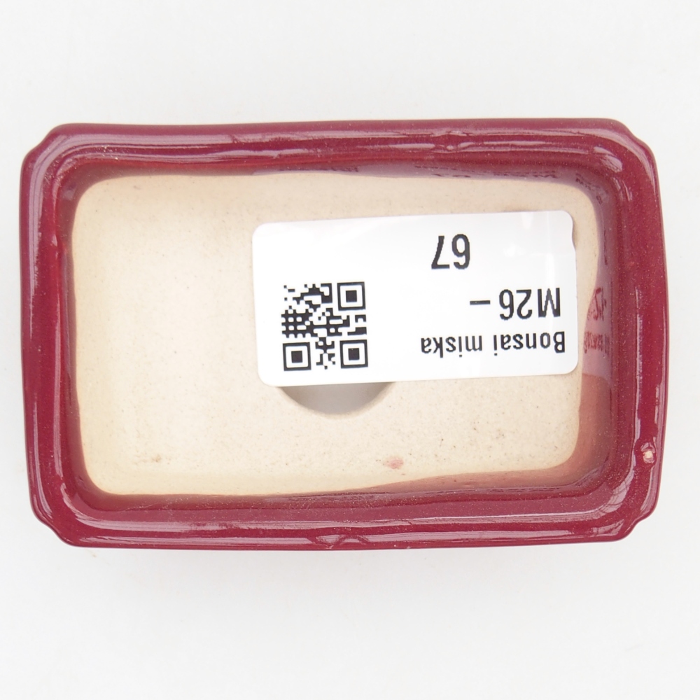 Mini bonsai 7,5 x 5 x 2 cm, bordeaux