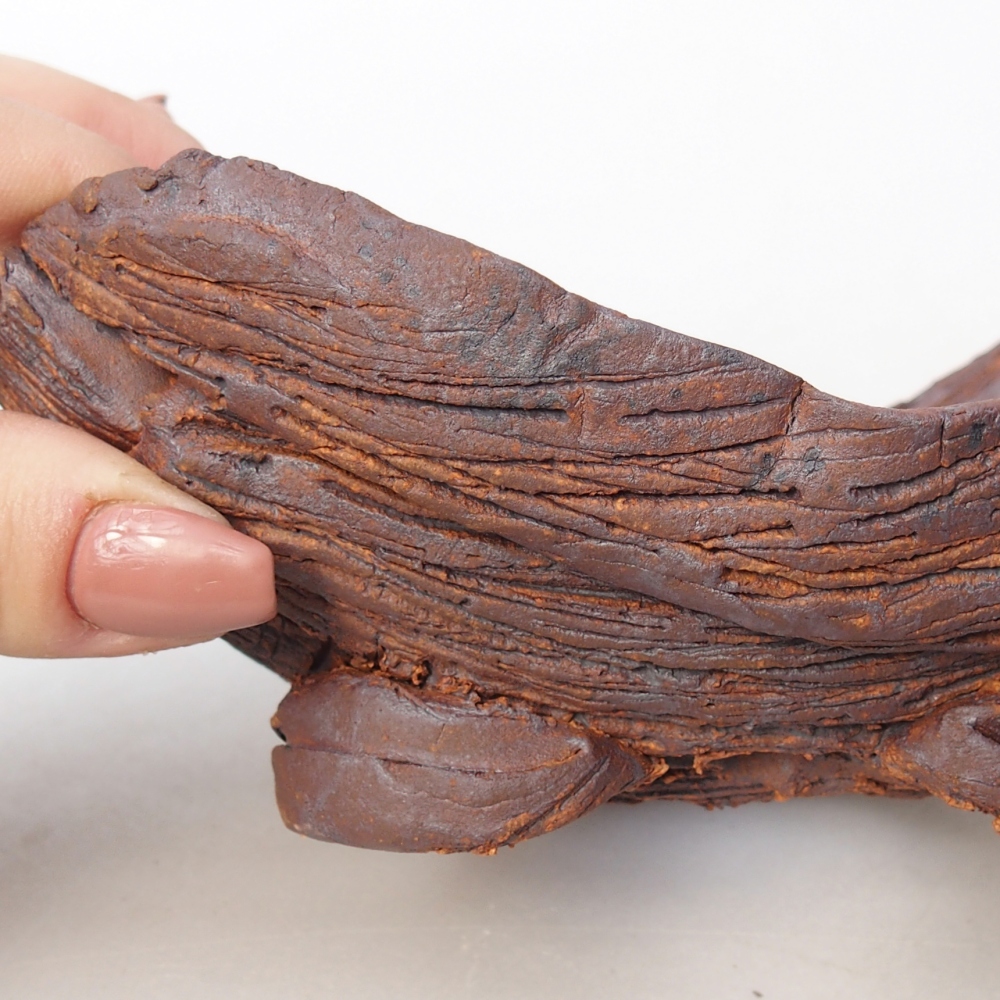 Conchiglia in ceramica 16 x 10,5 x 8,5 cm , colore marrone