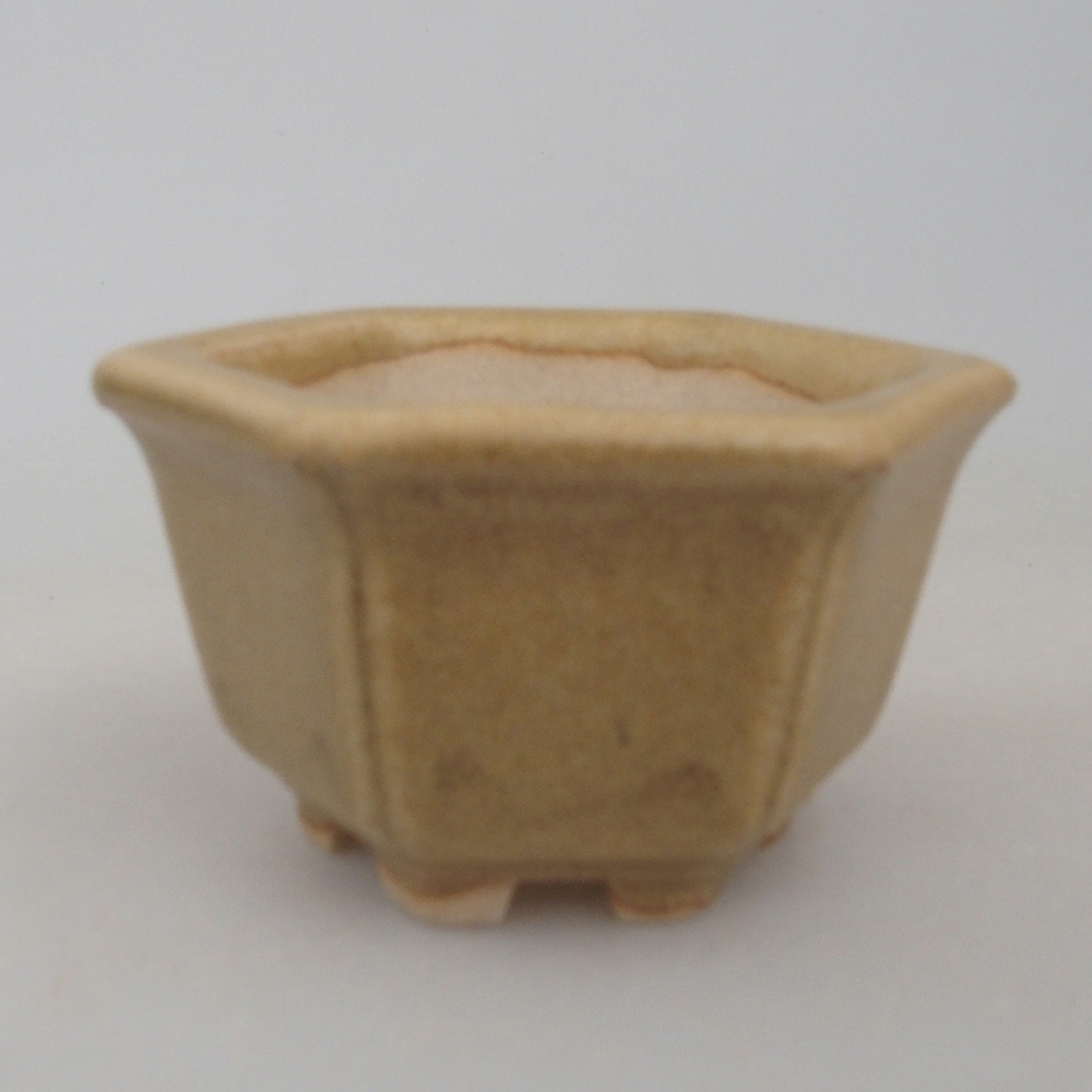 Ciotola per mini bonsai 5 x 4,5 x 3 cm, marrone