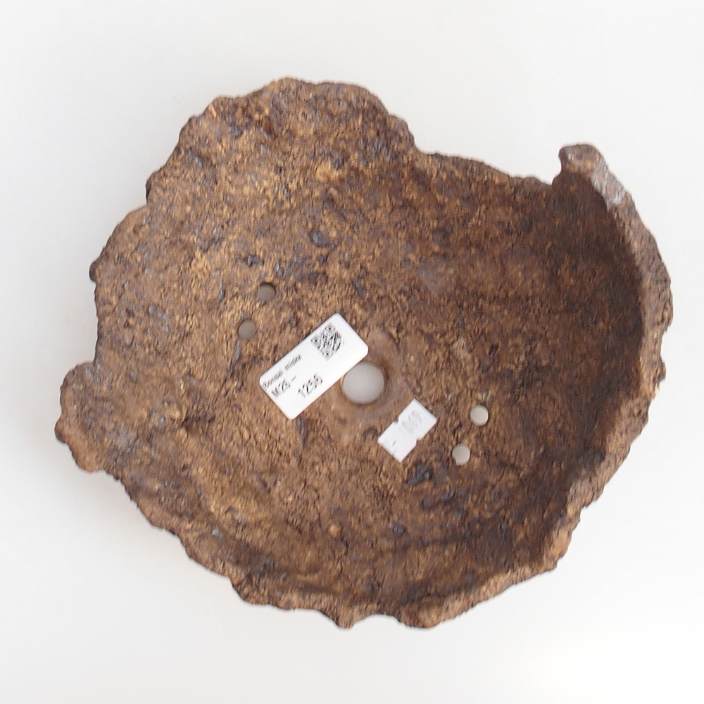 Conchiglia in ceramica 18 x 18 x 12 cm , colore marrone