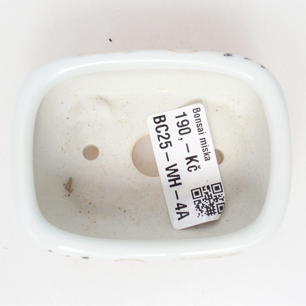 Mini bonsai 8 x 6 x 3 cm, bianco