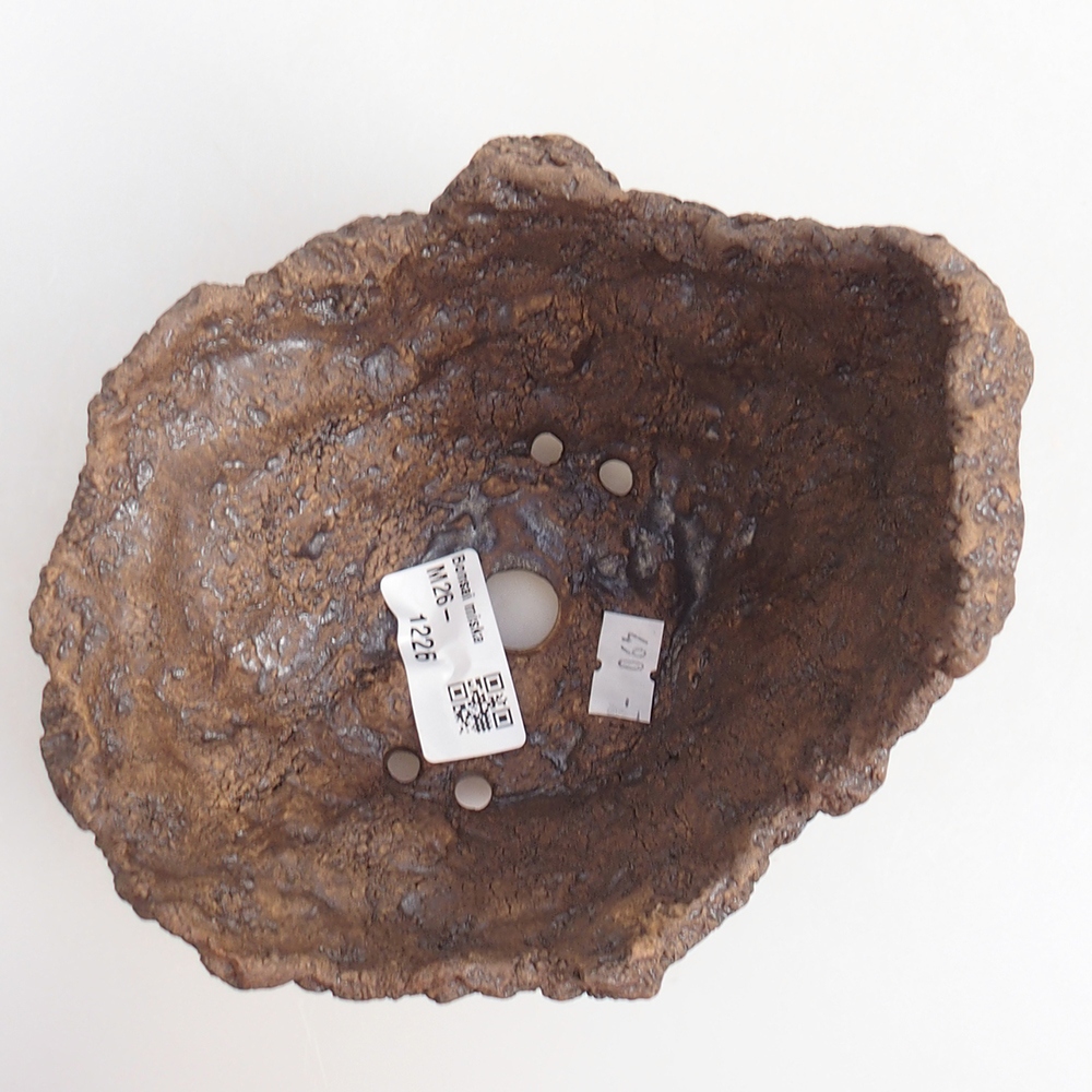 Conchiglia in ceramica 14 x 12 x 13 cm , colore marrone