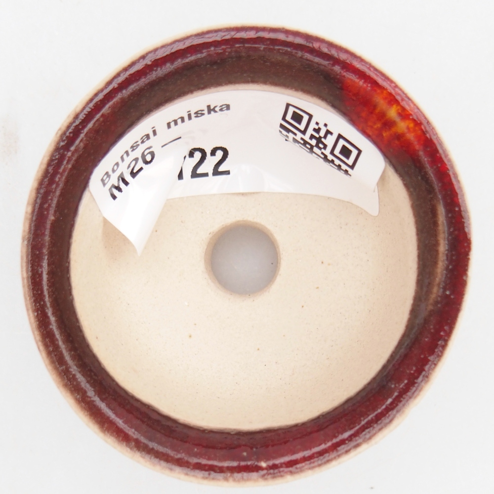 Mini bonsai 5 x 5 x 3 cm, colore rosso