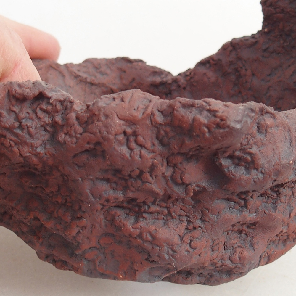 Conchiglia in ceramica 10 x 8 x 8,5 cm , colore marrone