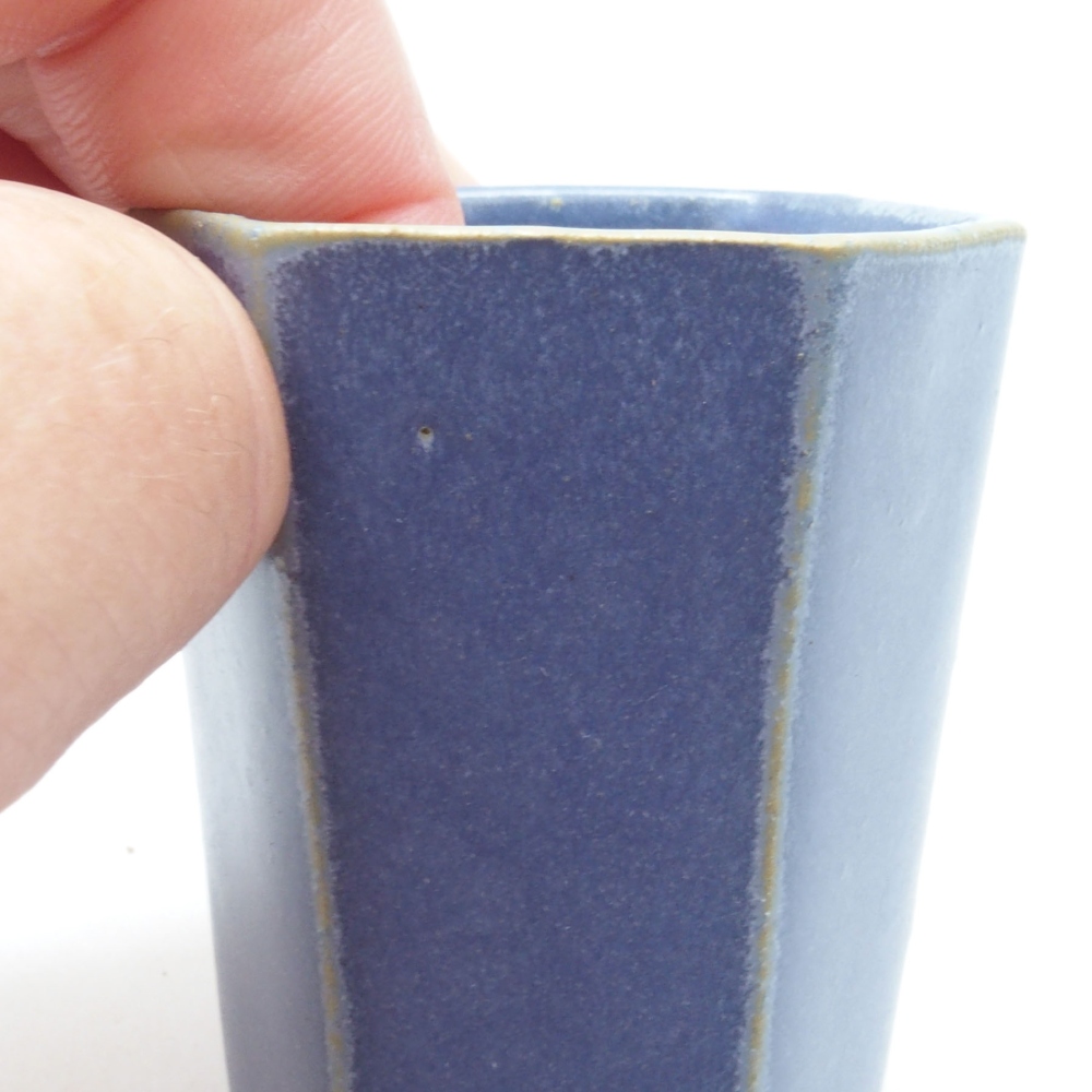 Mini bonsai 4,5 x 4,5 x 6,5 cm, colore blu