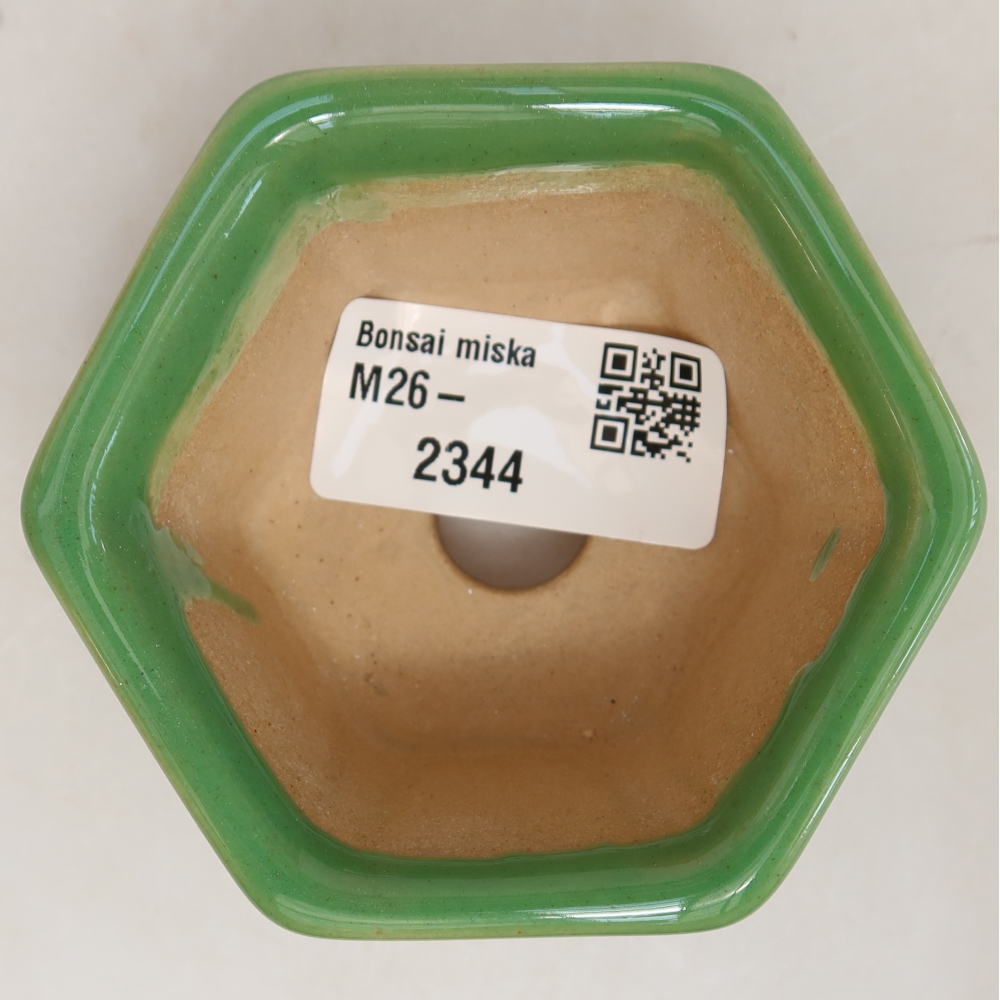 Ciotola per bonsai in ceramica 7,5 x 7 x 4 cm, verde