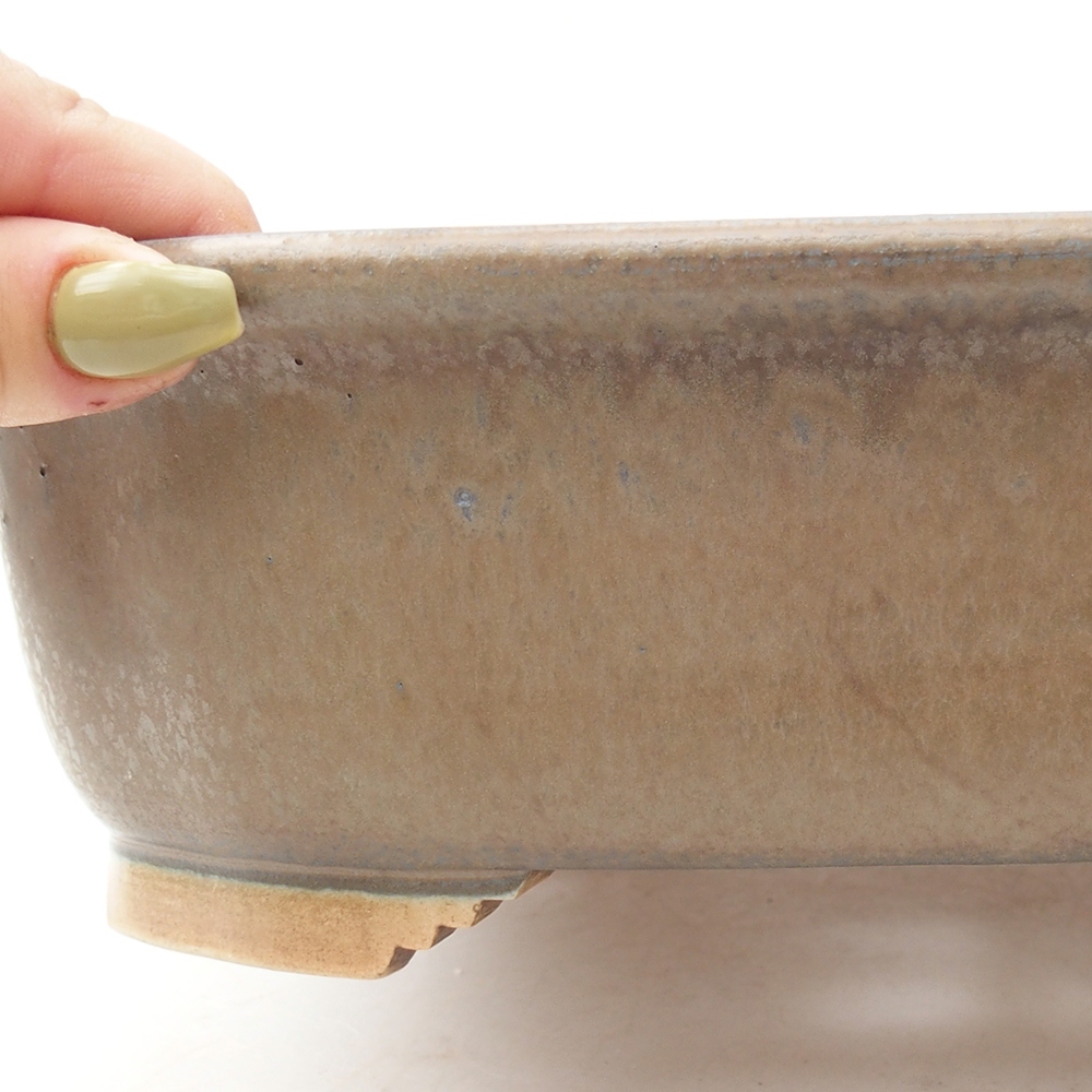 Ciotola bonsai in ceramica 24 x 21 x 7,5 cm, colore blu