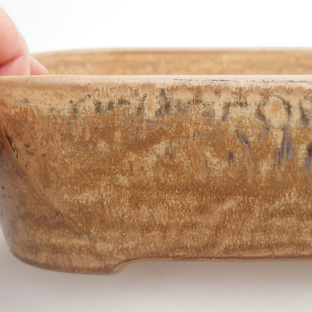 Ciotola per bonsai in ceramica 23 x 17 x 7,5 cm, marrone