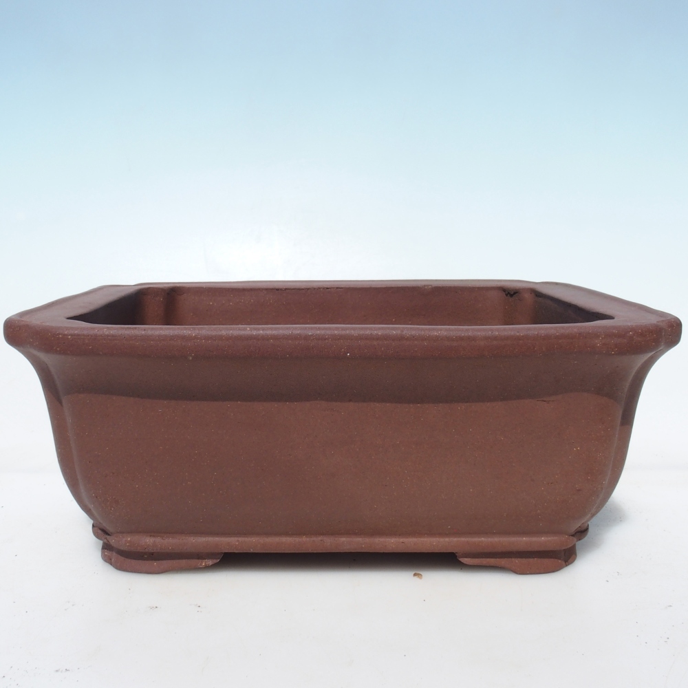 Ciotola per bonsai 29,5 x 24 x 12 cm