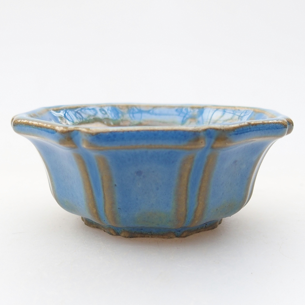 Mini bonsai 6 x 6 x 2,5 cm, colore blu