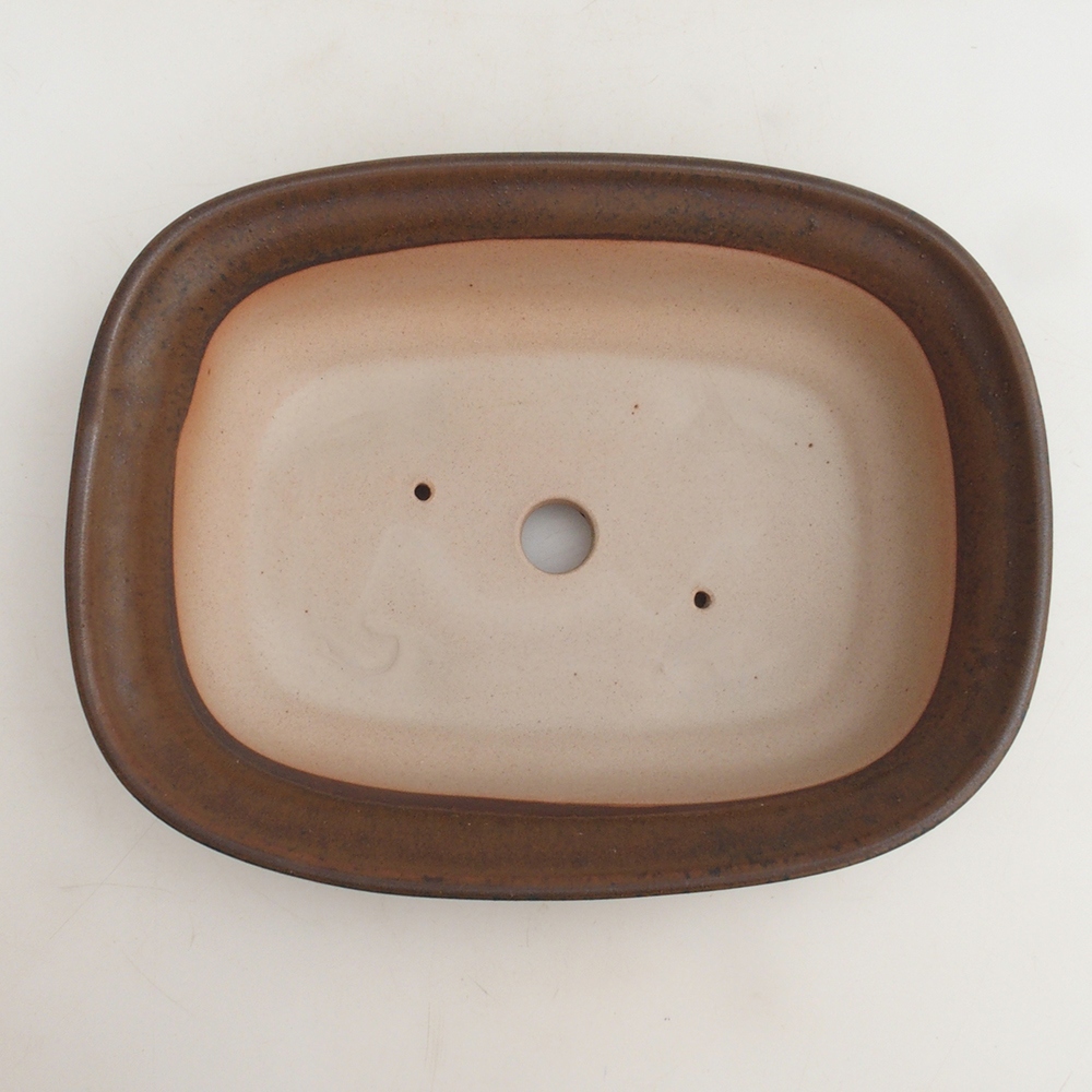 Ciotola per bonsai H25 - 23 x 17 x 5,5 cm - marrone
