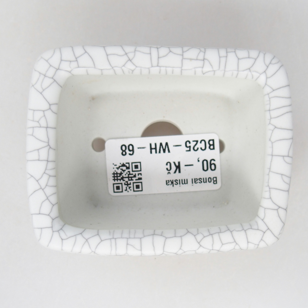 Ciotola per mini bonsai 8 x 6,5 x 3,5 cm, colore raku