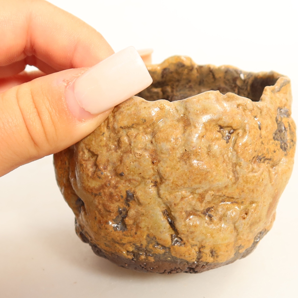 Guscio in ceramica  7 x 6,5 x 6,5 cm, colore marrone
