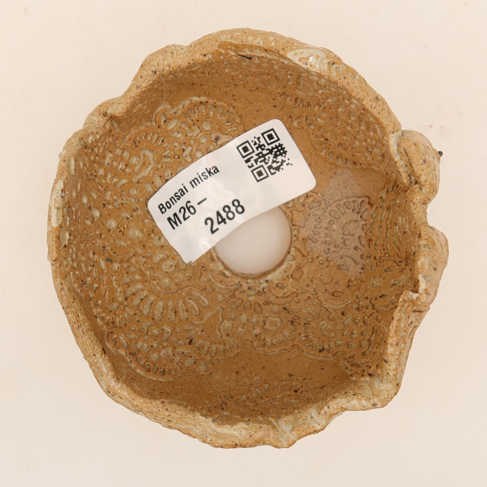 Conchiglia in ceramica 9 x 8 x 6 cm , colore beige