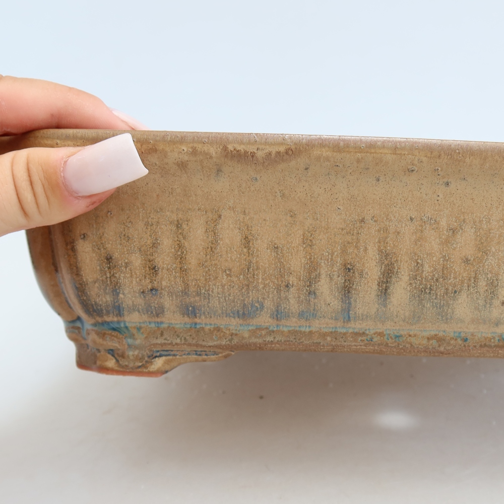 Ciotola bonsai in ceramica 27,5 x 21,5 x 7 cm, colore beige