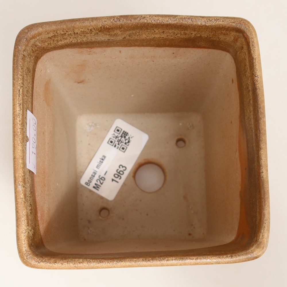 Vaso da bonsai in ceramica 9 x 9 x 11 cm, colore beige