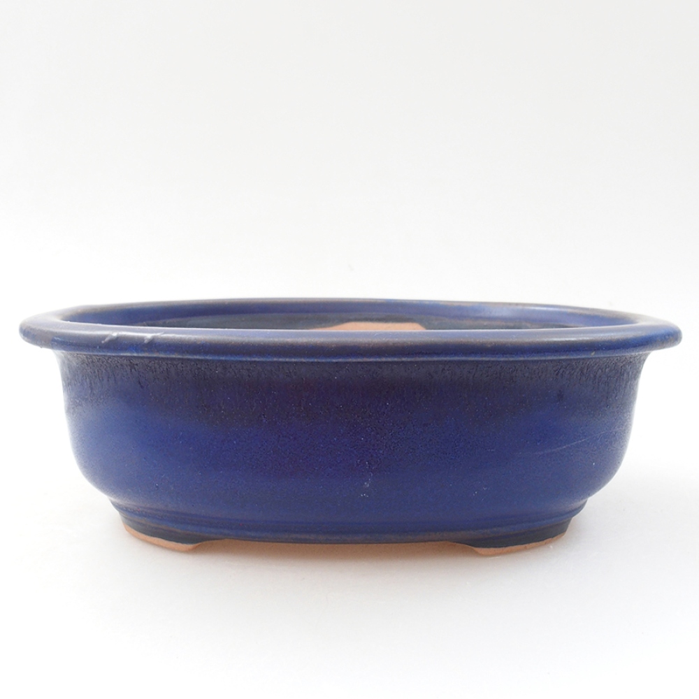 Ciotola bonsai in ceramica 18 x 14,5 x 6 cm, colore blu