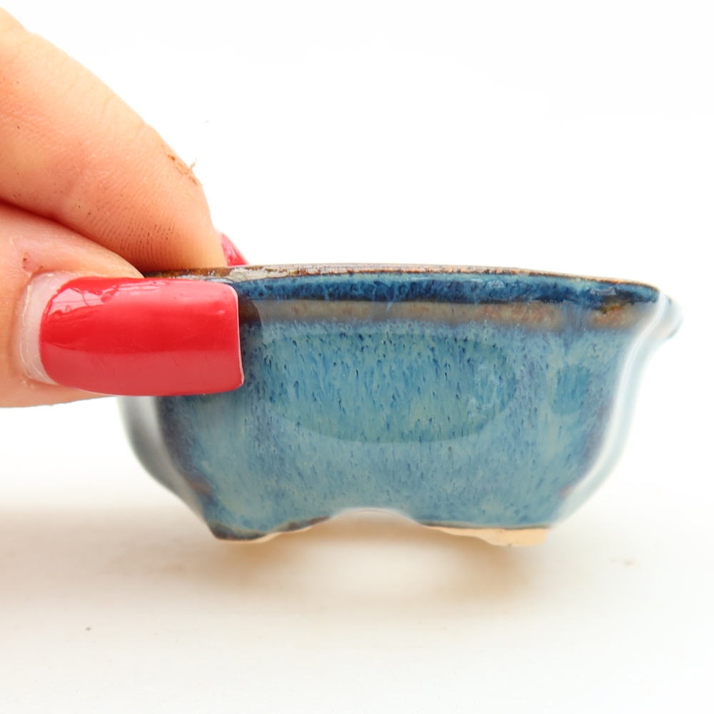 Vaso da bonsai in ceramica 6,5 x 6,5 x 2,5 cm, colore blu