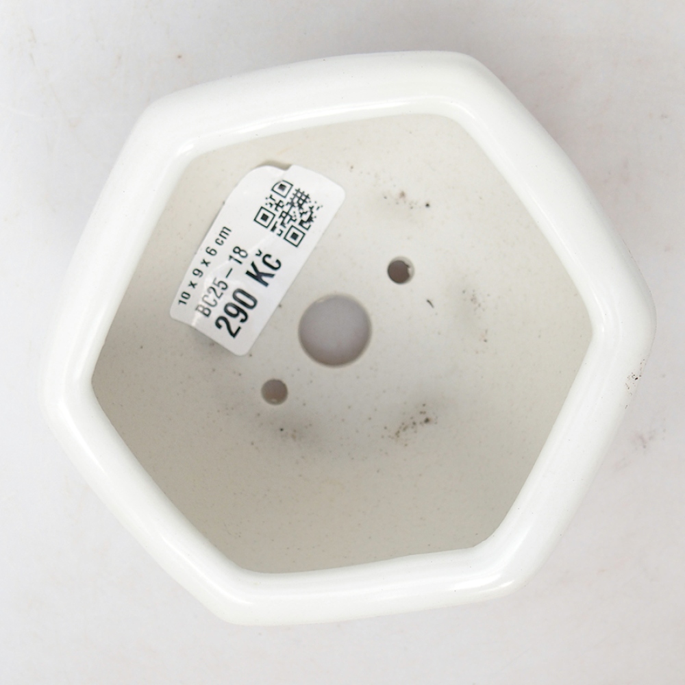 Ciotola per bonsai in ceramica 10 x 9 x 6 cm, colore bianco