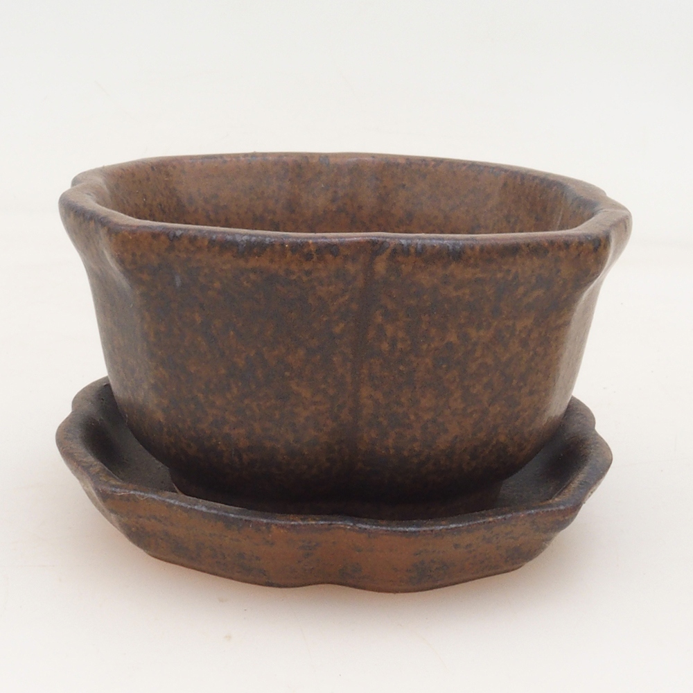 Ciotola bonsai + piattino H95 - marrone